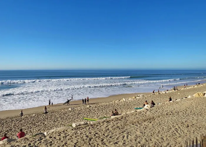 Picasso By Interhome *